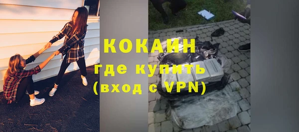 крисы Гусев