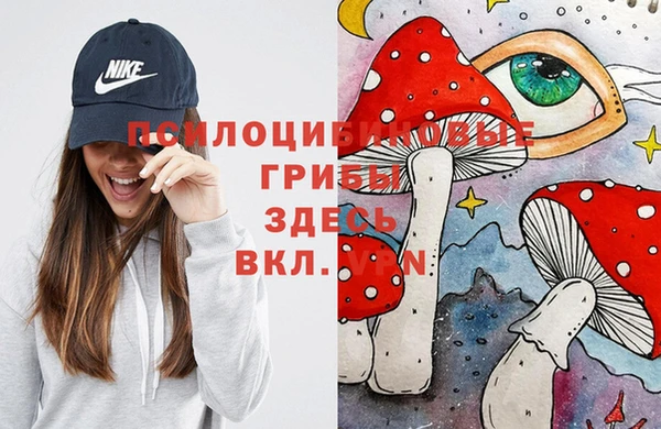 наркотики Гусь-Хрустальный