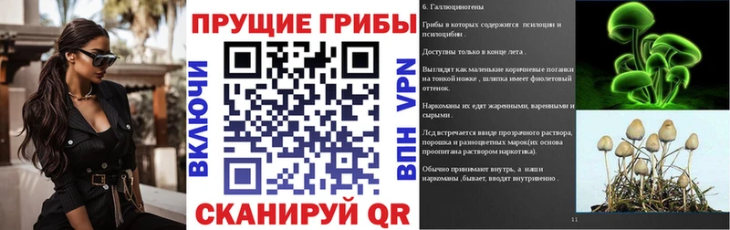 Купить закладки  Ишим  Галлюциногенные грибы Psilocybe 