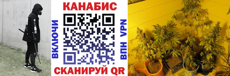 Купить где  Ишим  МАРИХУАНА Amnesia 